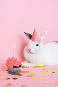 Rabbit Birthday Captions for Instagram