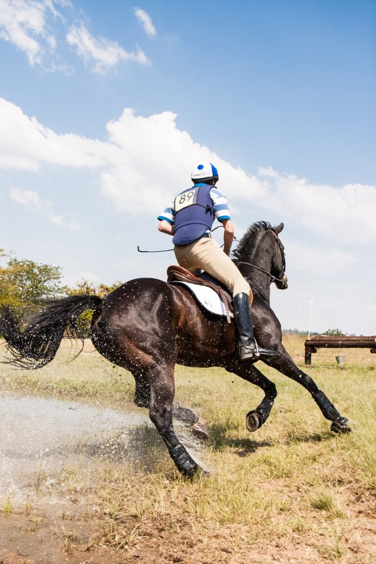 Birthday Wishes for Polo Player