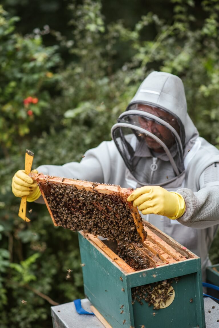Birthday Wishes for Beekeeper