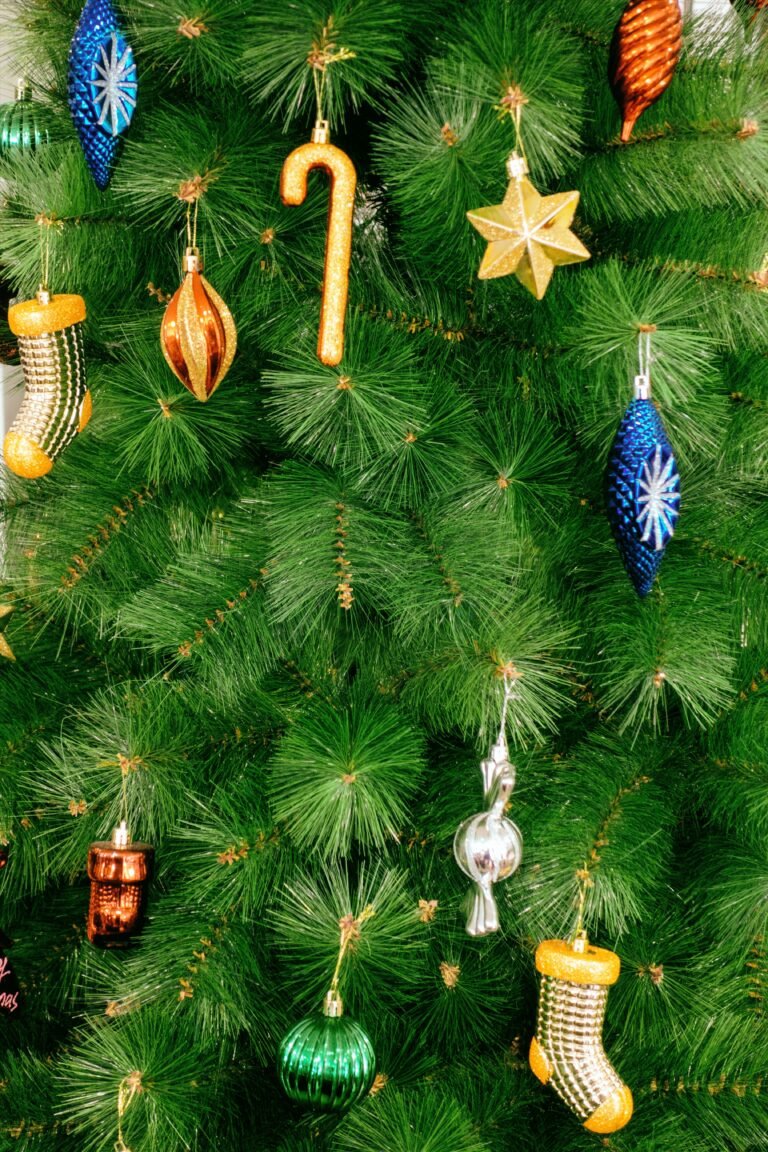 Birthday Wishes for Who is Born in Christmas