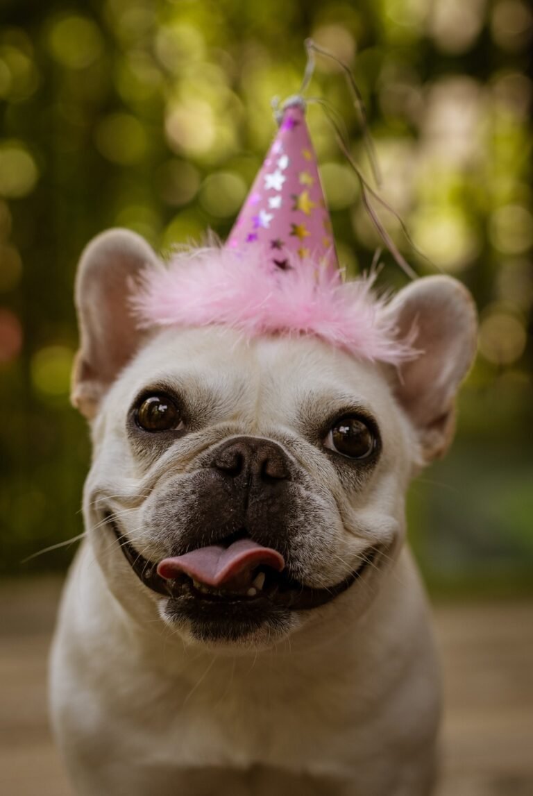 10th Birthday Wishes for Dog