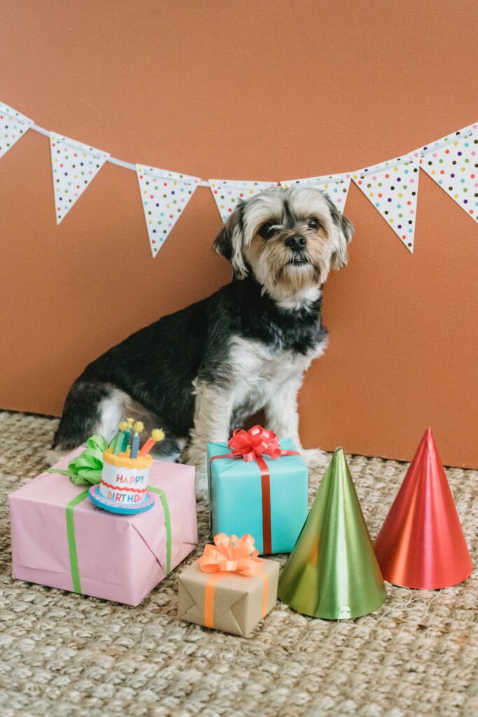 4th Birthday Wishes for Dog