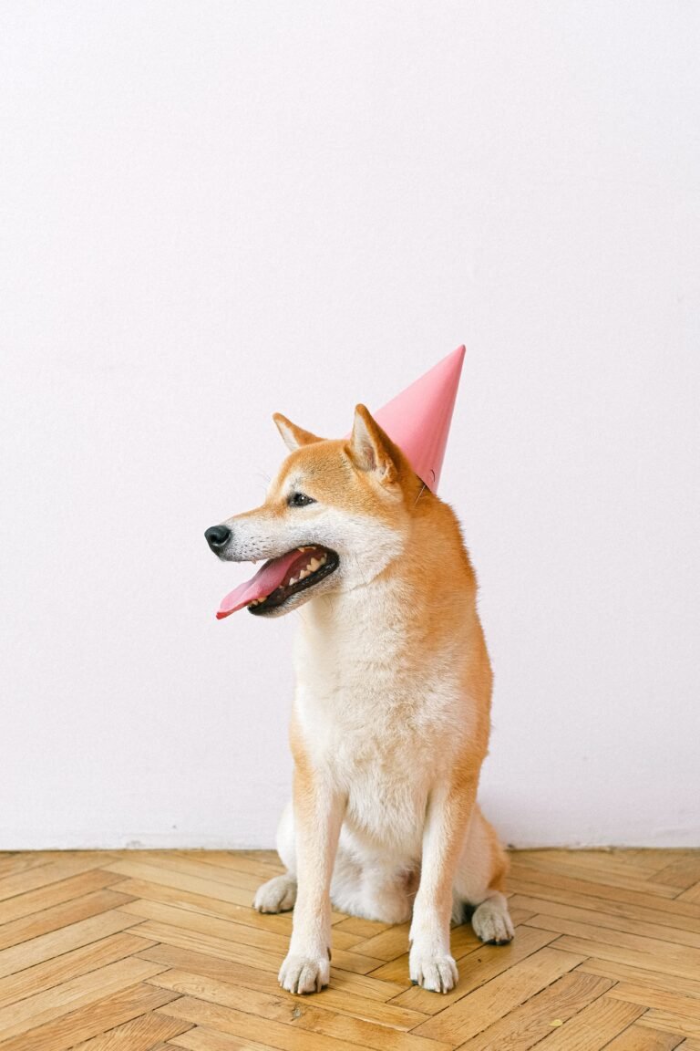 8th Birthday Wishes for Dog