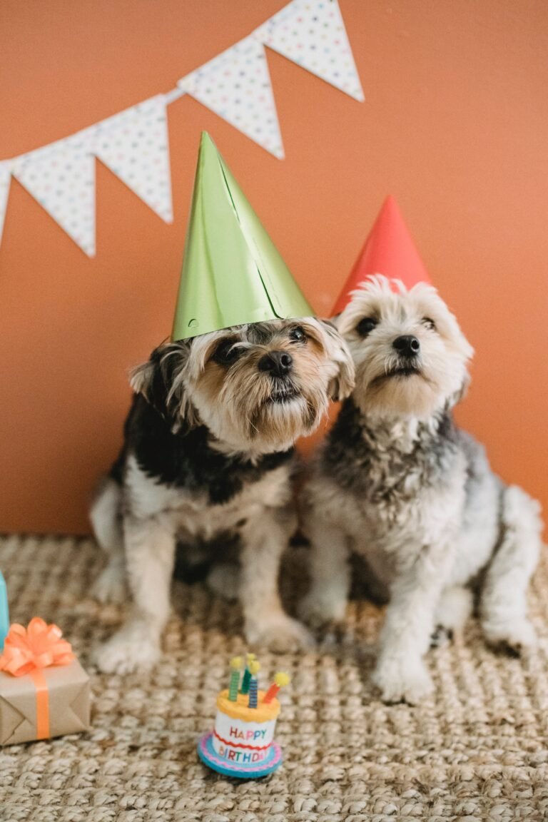 Happy Birthday Letter to Dog